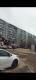 сдам 2 ком кв ру по мичуринской 185 за 22000